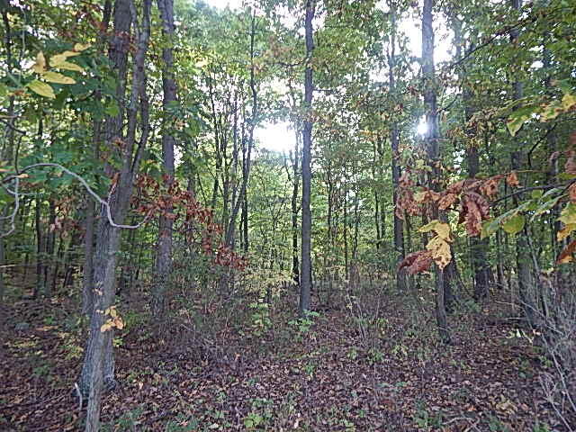 9755 Lindsey Road Plainwell, MI 49080 - Photo 16 of 57 DSCN1657