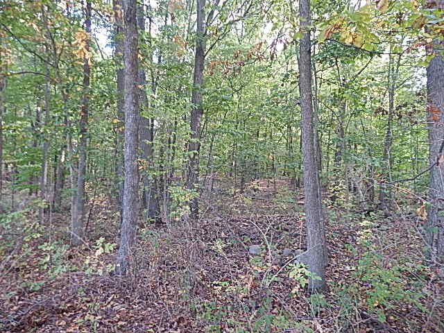 9755 Lindsey Road Plainwell, MI 49080 - Photo 17 of 57 DSCN1658