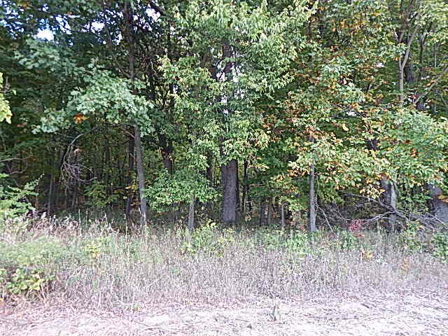 9755 Lindsey Road Plainwell, MI 49080 - Photo 18 of 57 DSCN1659