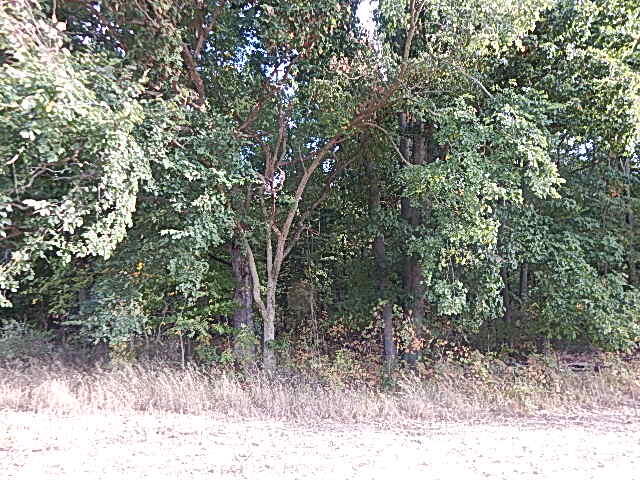 9755 Lindsey Road Plainwell, MI 49080 - Photo 20 of 57 DSCN1661