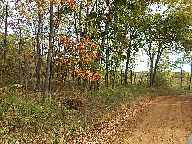 9755 Lindsey Road Plainwell, MI 49080 - Photo 25 of 57 DSCN1667