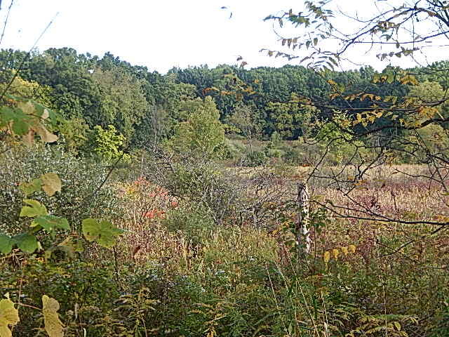 9755 Lindsey Road Plainwell, MI 49080 - Photo 26 of 57 DSCN1668