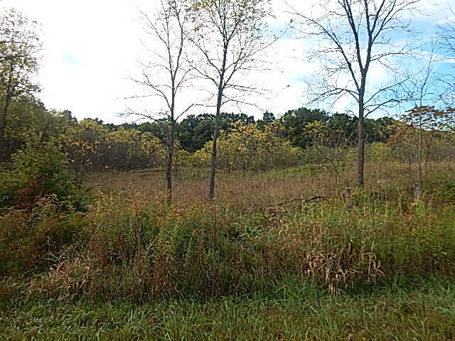 9755 Lindsey Road Plainwell, MI 49080 - Photo 27 of 57 DSCN1669