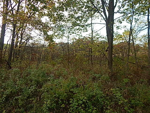 9755 Lindsey Road Plainwell, MI 49080 - Photo 28 of 57 DSCN1670