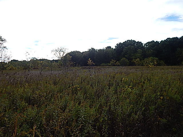 9755 Lindsey Road Plainwell, MI 49080 - Photo 29 of 57 DSCN1671
