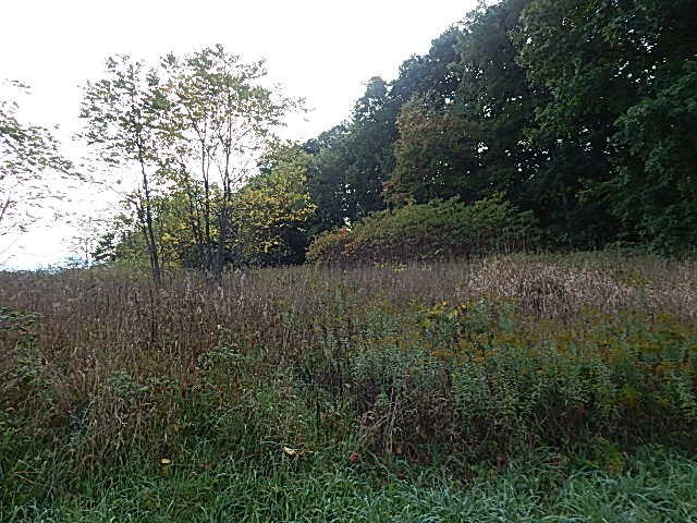 9755 Lindsey Road Plainwell, MI 49080 - Photo 30 of 57 DSCN1672