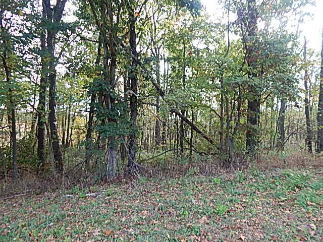 9755 Lindsey Road Plainwell, MI 49080 - Photo 32 of 57 DSCN1674