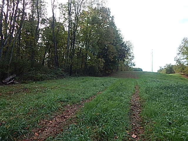 9755 Lindsey Road Plainwell, MI 49080 - Photo 33 of 57 DSCN1675