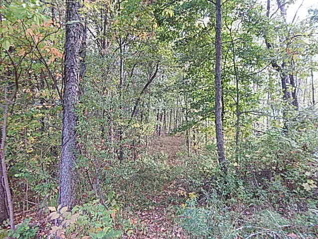 9755 Lindsey Road Plainwell, MI 49080 - Photo 34 of 57 DSCN1676