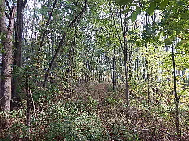 9755 Lindsey Road Plainwell, MI 49080 - Photo 35 of 57 DSCN1677