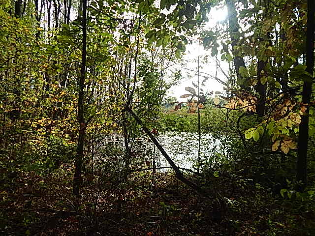 9755 Lindsey Road Plainwell, MI 49080 - Photo 36 of 57 DSCN1678