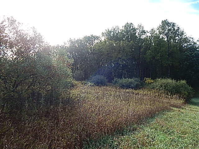 9755 Lindsey Road Plainwell, MI 49080 - Photo 37 of 57 DSCN1679