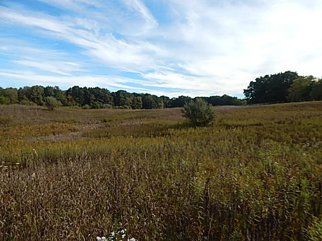 9755 Lindsey Road Plainwell, MI 49080 - Photo 38 of 57 DSCN1680