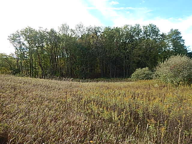 9755 Lindsey Road Plainwell, MI 49080 - Photo 39 of 57 DSCN1681