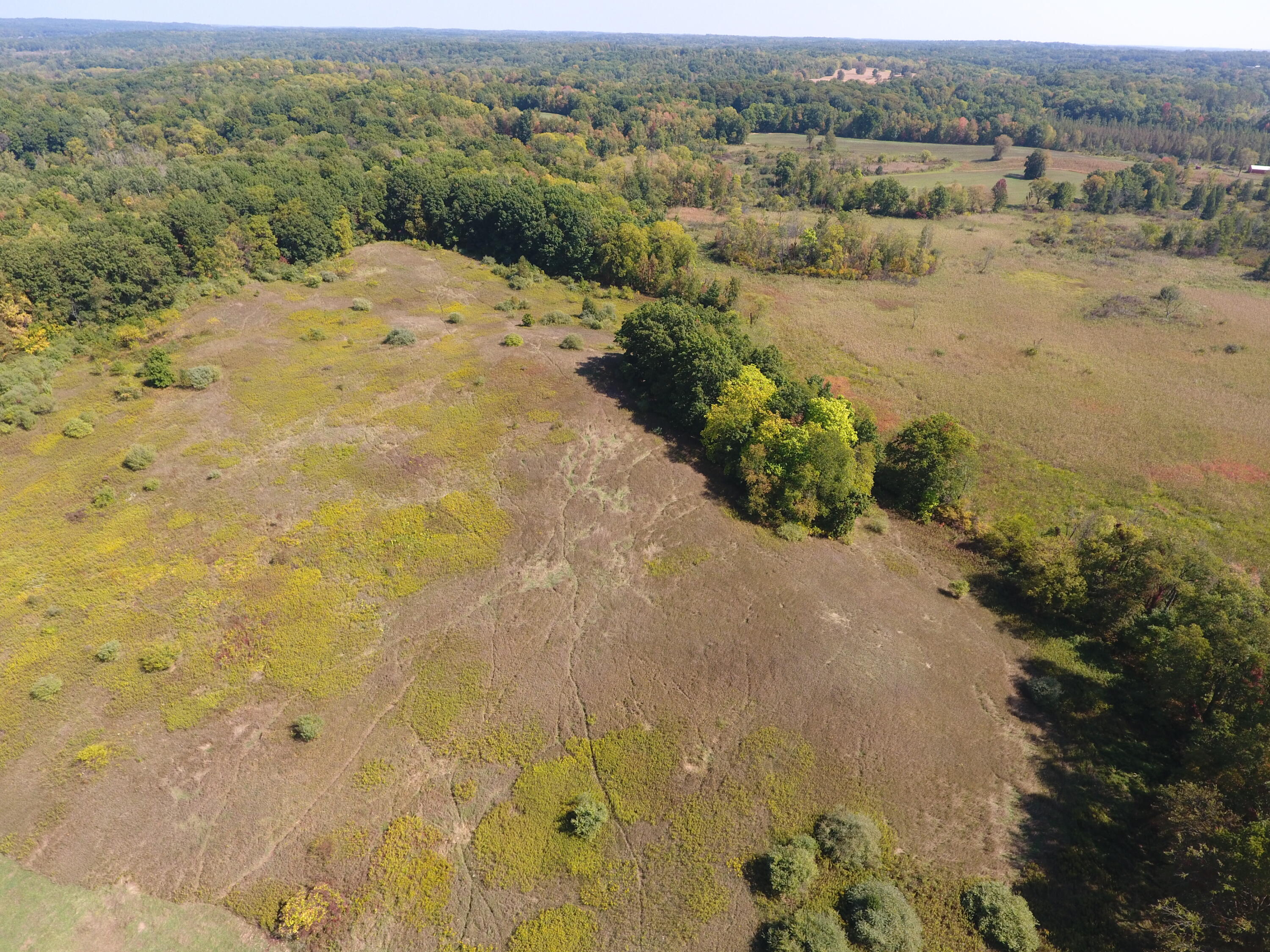 9755 Lindsey Road Plainwell, MI 49080 - Photo 44 of 57 DJI_0002