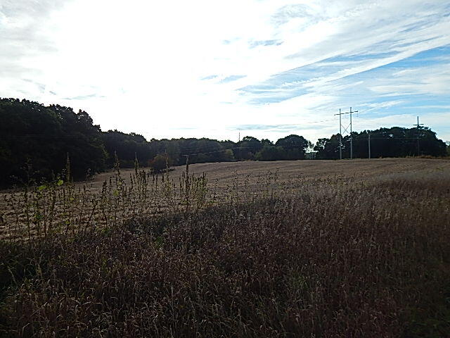 9755 Lindsey Road Plainwell, MI 49080 - Photo 5 of 57 Field view