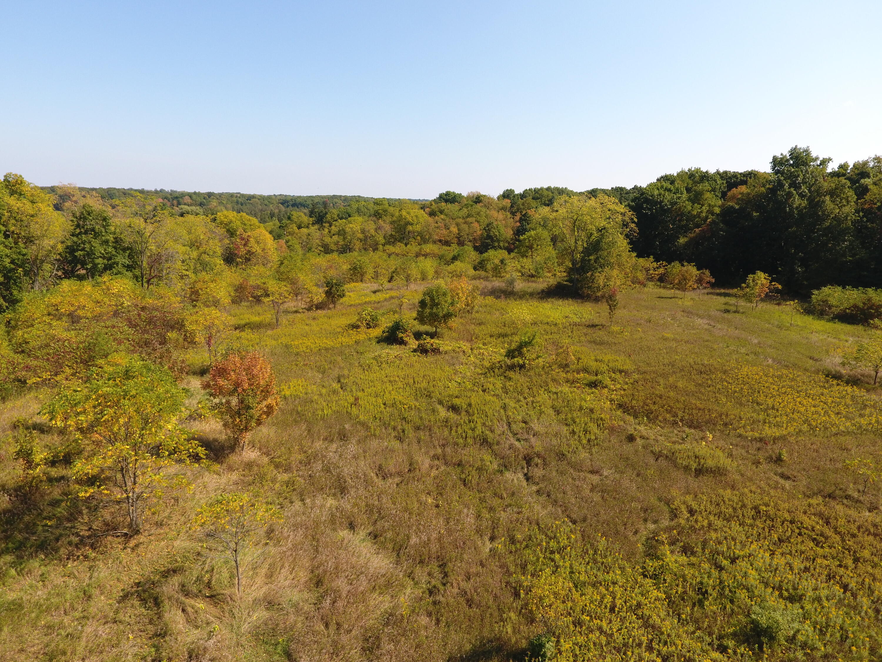 9755 Lindsey Road Plainwell, MI 49080 - Photo 57 of 57 DJI_0019