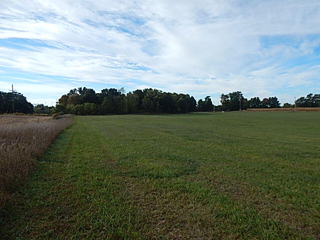 9755 Lindsey Road Plainwell, MI 49080 - Photo 6 of 57 DSCN1647