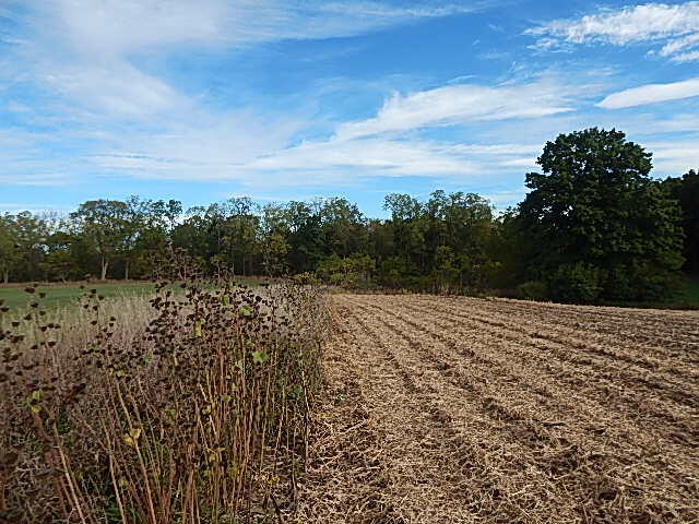 9755 Lindsey Road Plainwell, MI 49080 - Photo 9 of 57 DSCN1650
