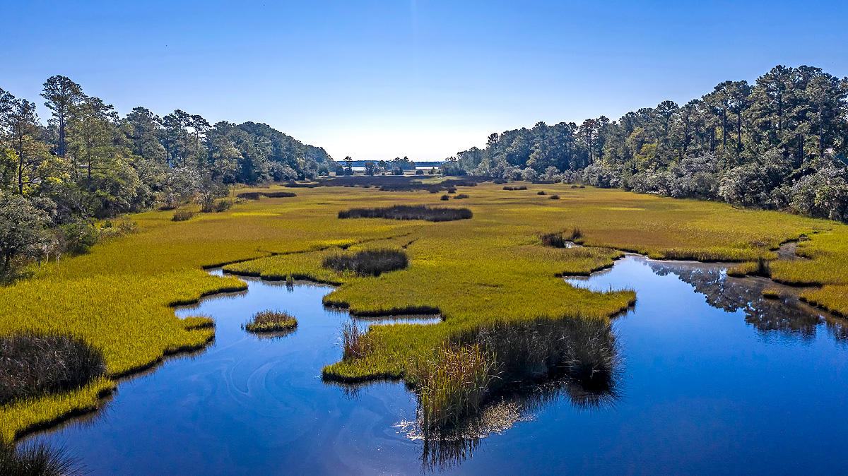 0 Duck Club Road Ravenel, SC 29470 - Photo 17 of 23 CREM_0 Duck Way Rd_017