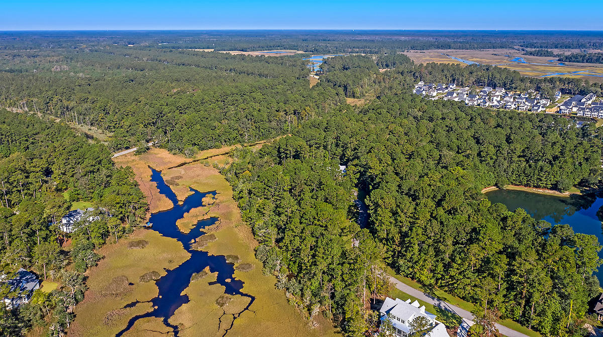 0 Duck Club Road Ravenel, SC 29470 - Photo 6 of 23 CREM_0 Duck Way Rd_006