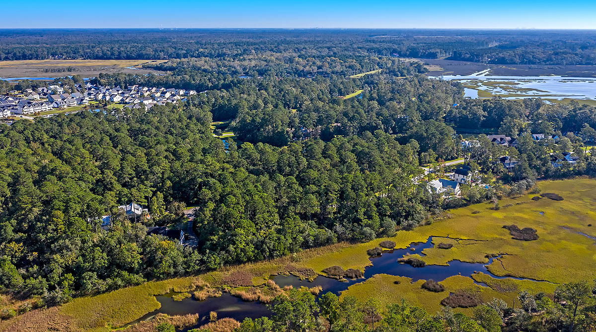 0 Duck Club Road Ravenel, SC 29470 - Photo 9 of 23 CREM_0 Duck Way Rd_009