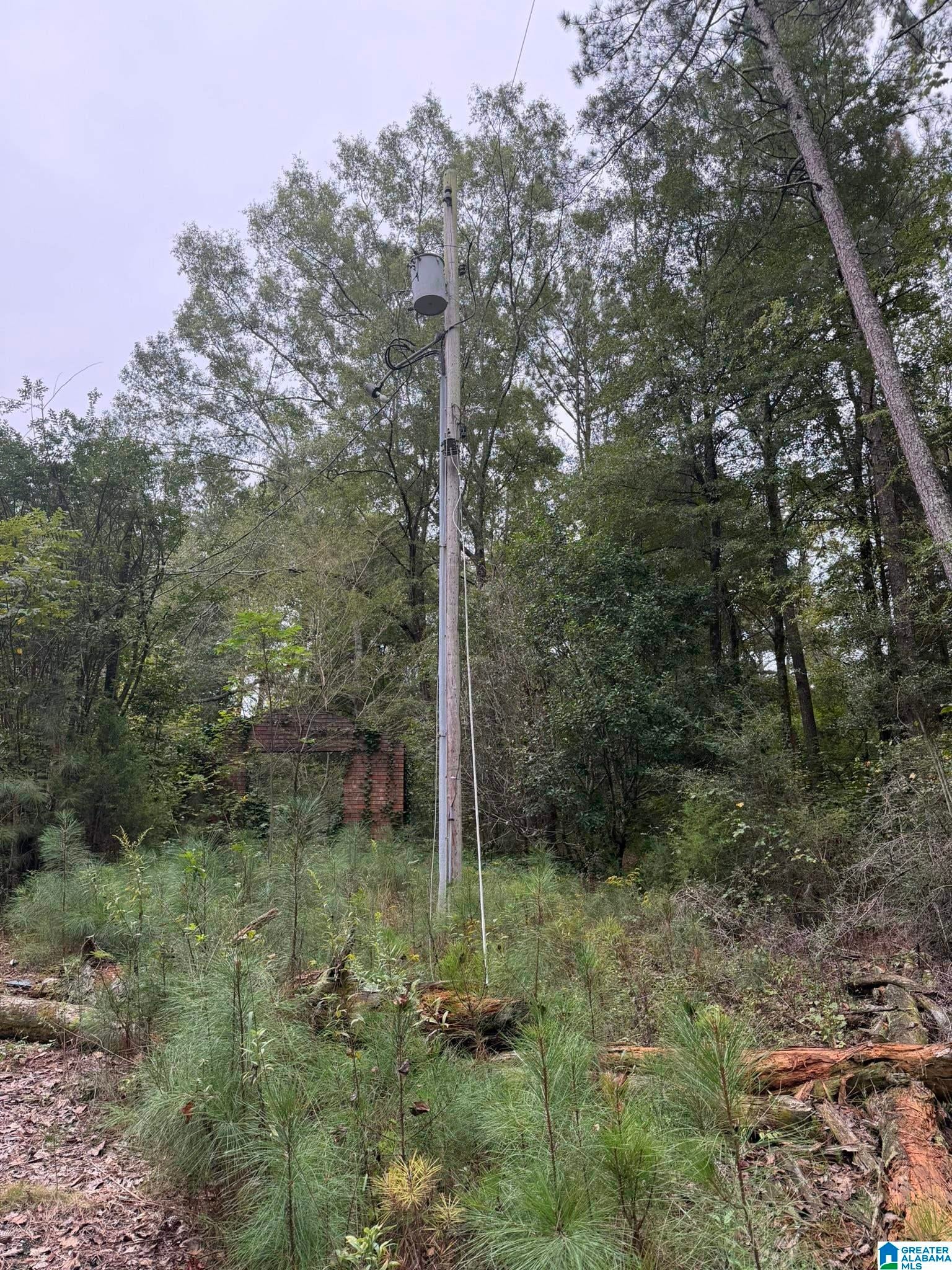 0 Dearmanville Road Anniston, AL 36207 - Photo 3 of 28 Gallery Image 3