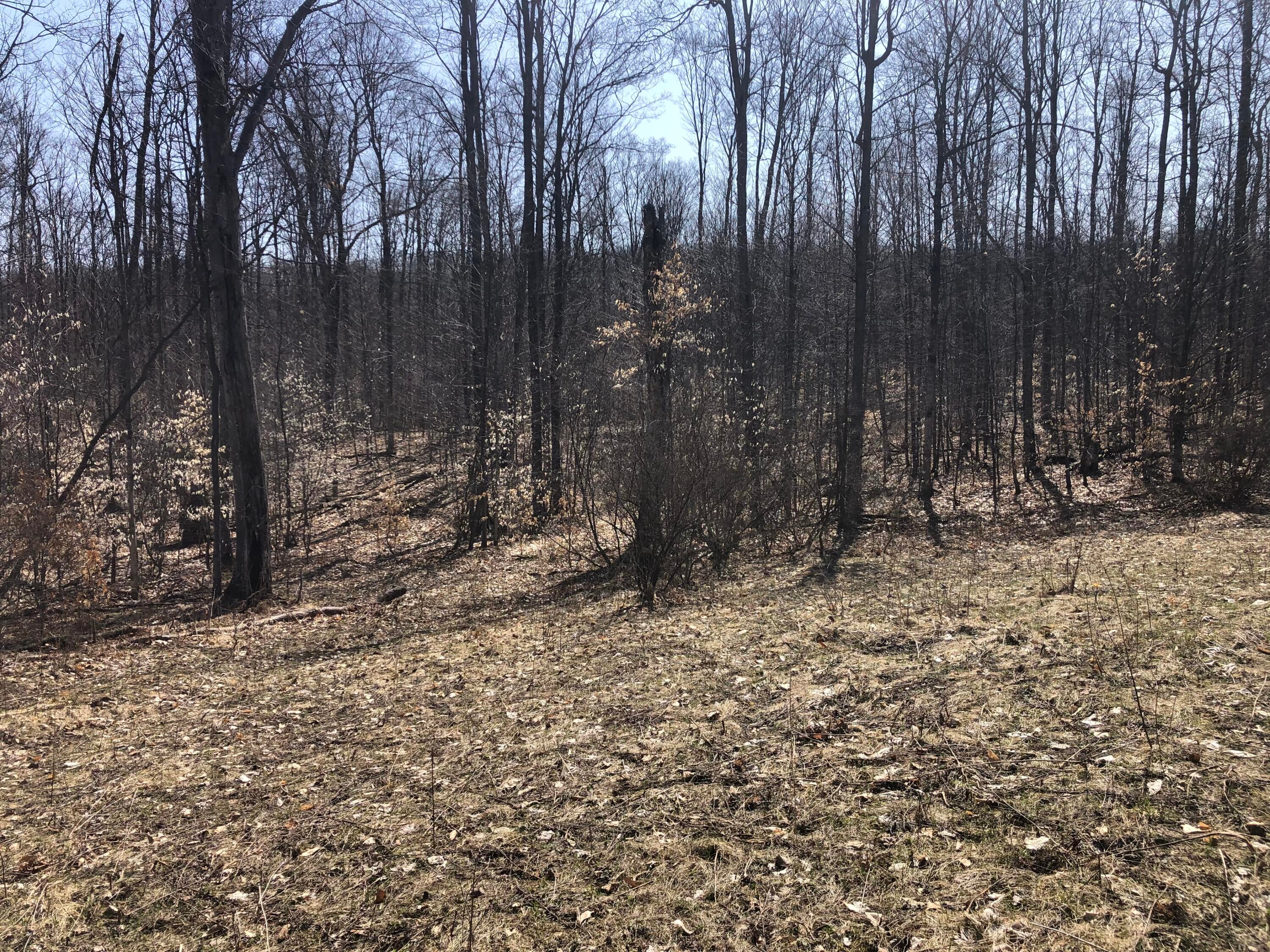 Congdon Road Gaylord, MI 49735 - Photo 8 of 14 Gallery Image 8