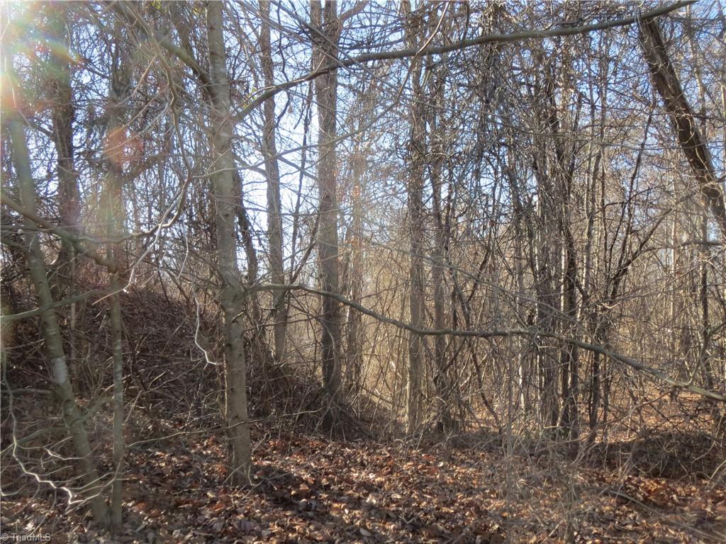 0 CC Camp Road Elkin, NC 28621 - Photo 9 of 13 Gallery Image 9