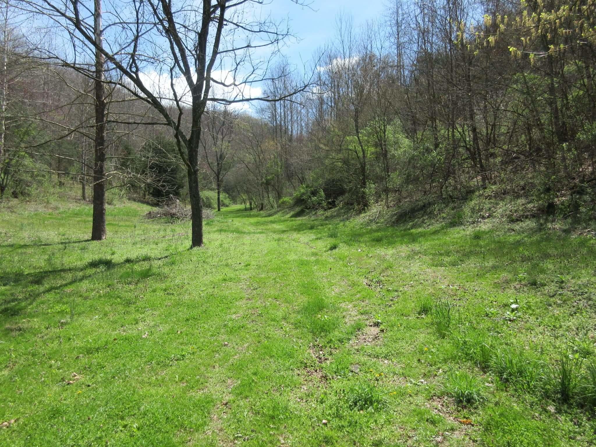 2884 Old Friendship Road Jonesville, VA 24263 - Photo 14 of 16 received_616015752280243