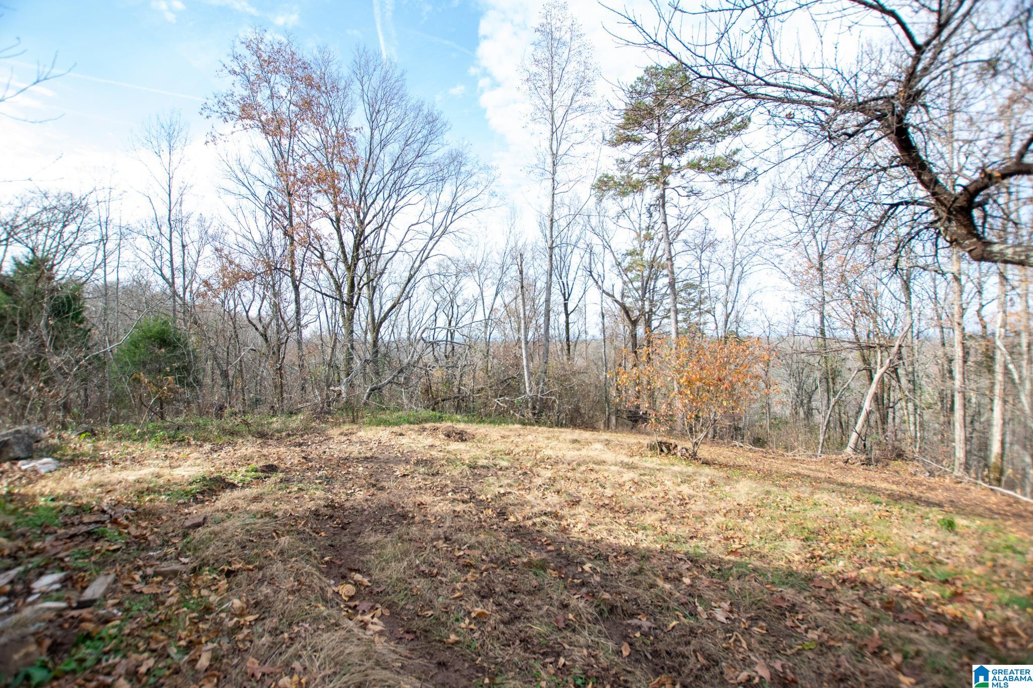 543 Young Road Remlap, AL 35133 - Photo 35 of 46