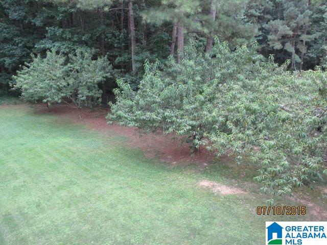171 Hackberry Circle Chelsea, AL 35043 - Photo 33 of 45