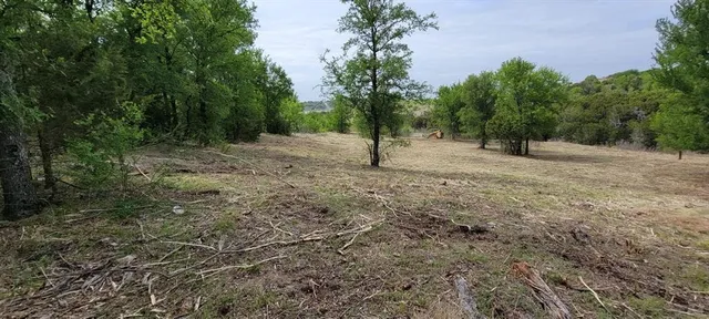 a view of a yard with a tree