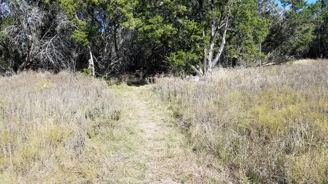 a view of a dry yard