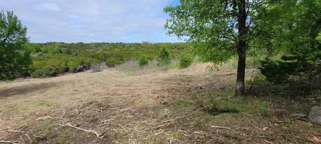 a view of a pathway with a yard