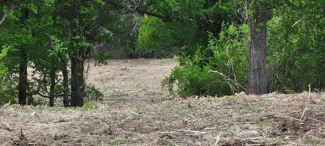a view of a yard covered in snow