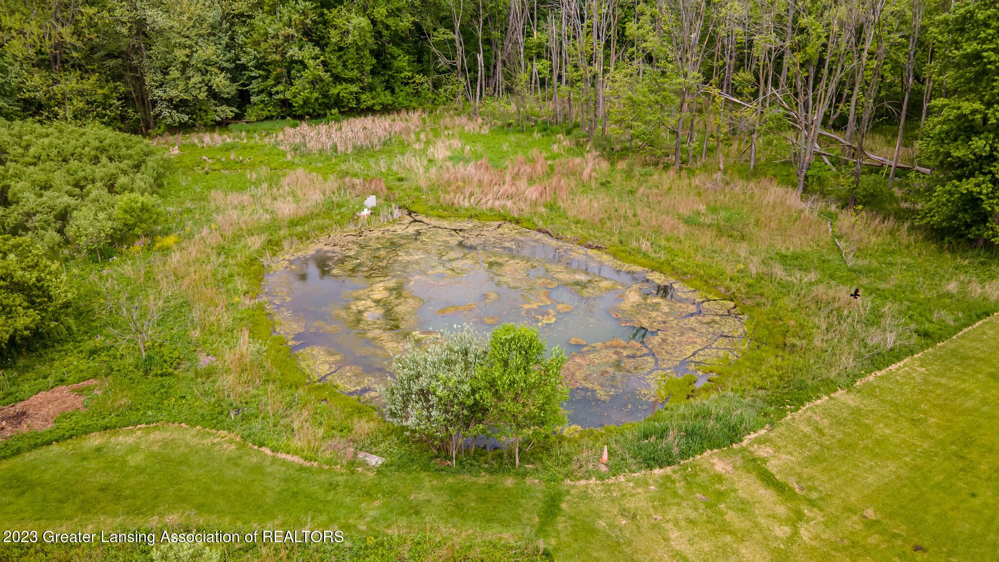 15344 South Lowell Road Lansing, MI 48906 - Photo 25 of 27 15344SLOWELL35
