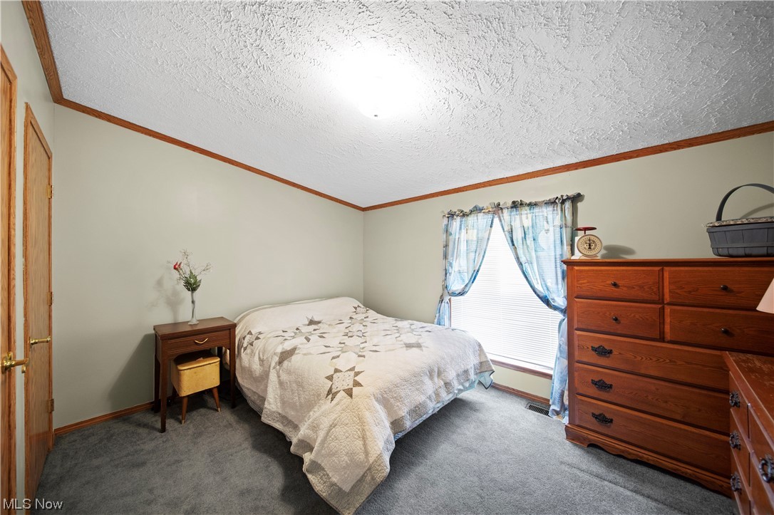 4951 Lane Road Perry, OH 44081 - Photo 11 of 31 Carpeted bedroom with crown molding and a textured ceiling
