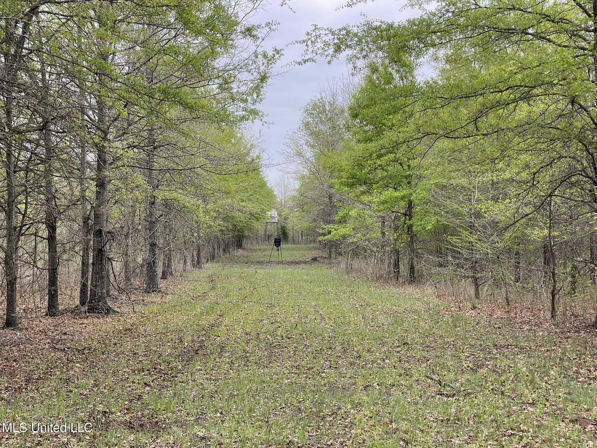 Bennett Road Clarksdale, MS 38614 - Photo 12 of 34 IMG_4642