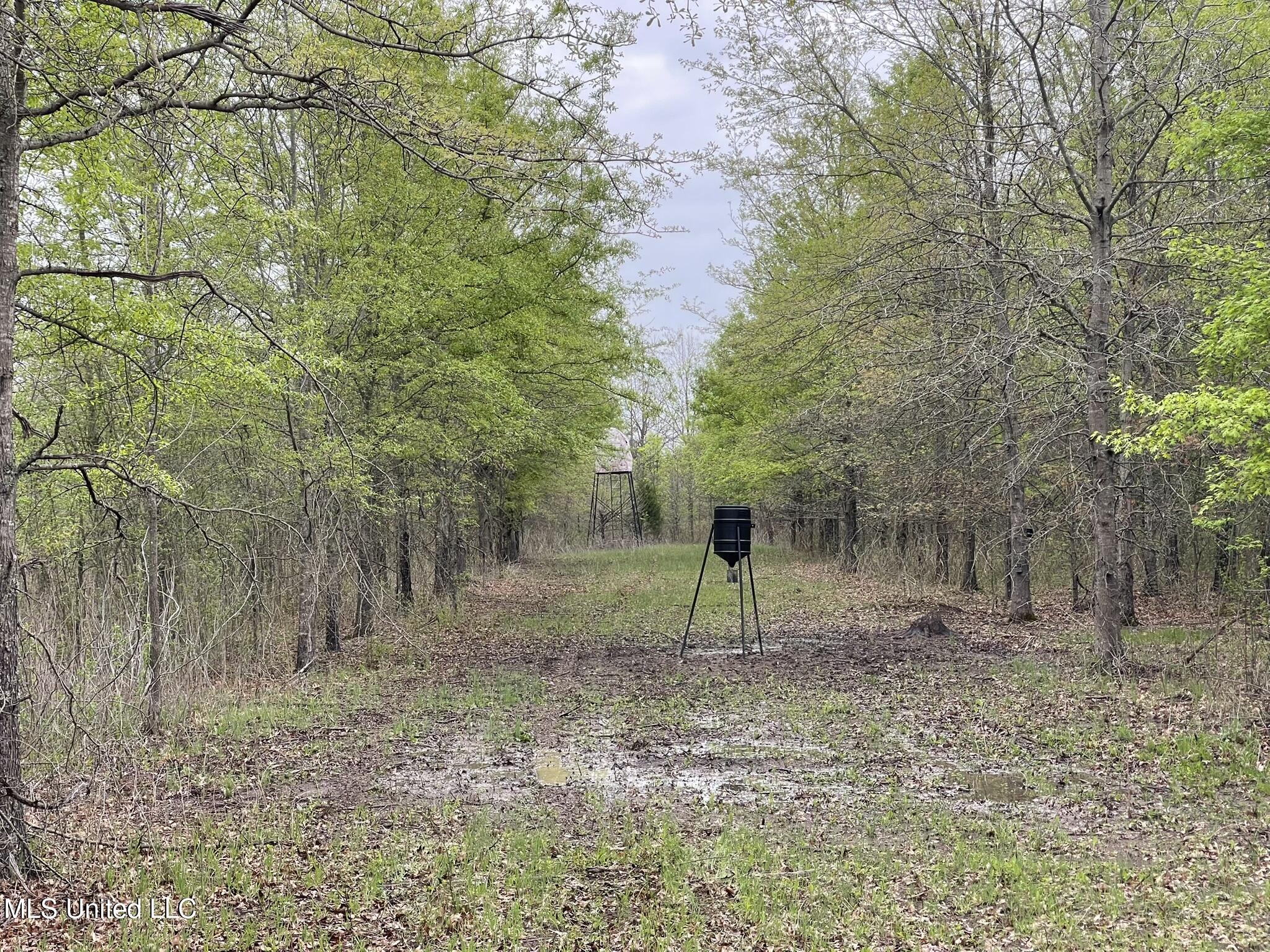 Bennett Road Clarksdale, MS 38614 - Photo 13 of 34 IMG_4643