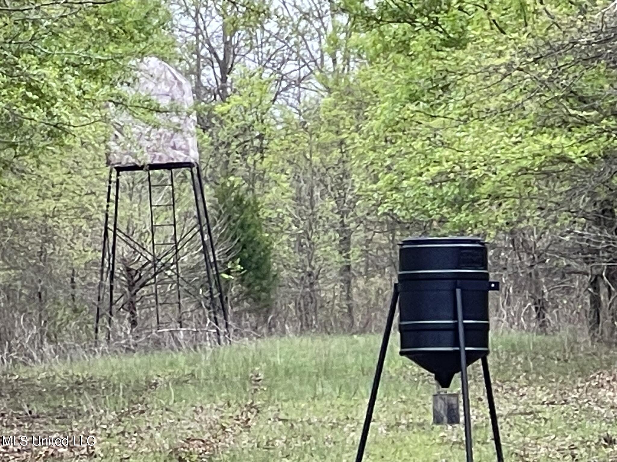 Bennett Road Clarksdale, MS 38614 - Photo 14 of 34 IMG_4644