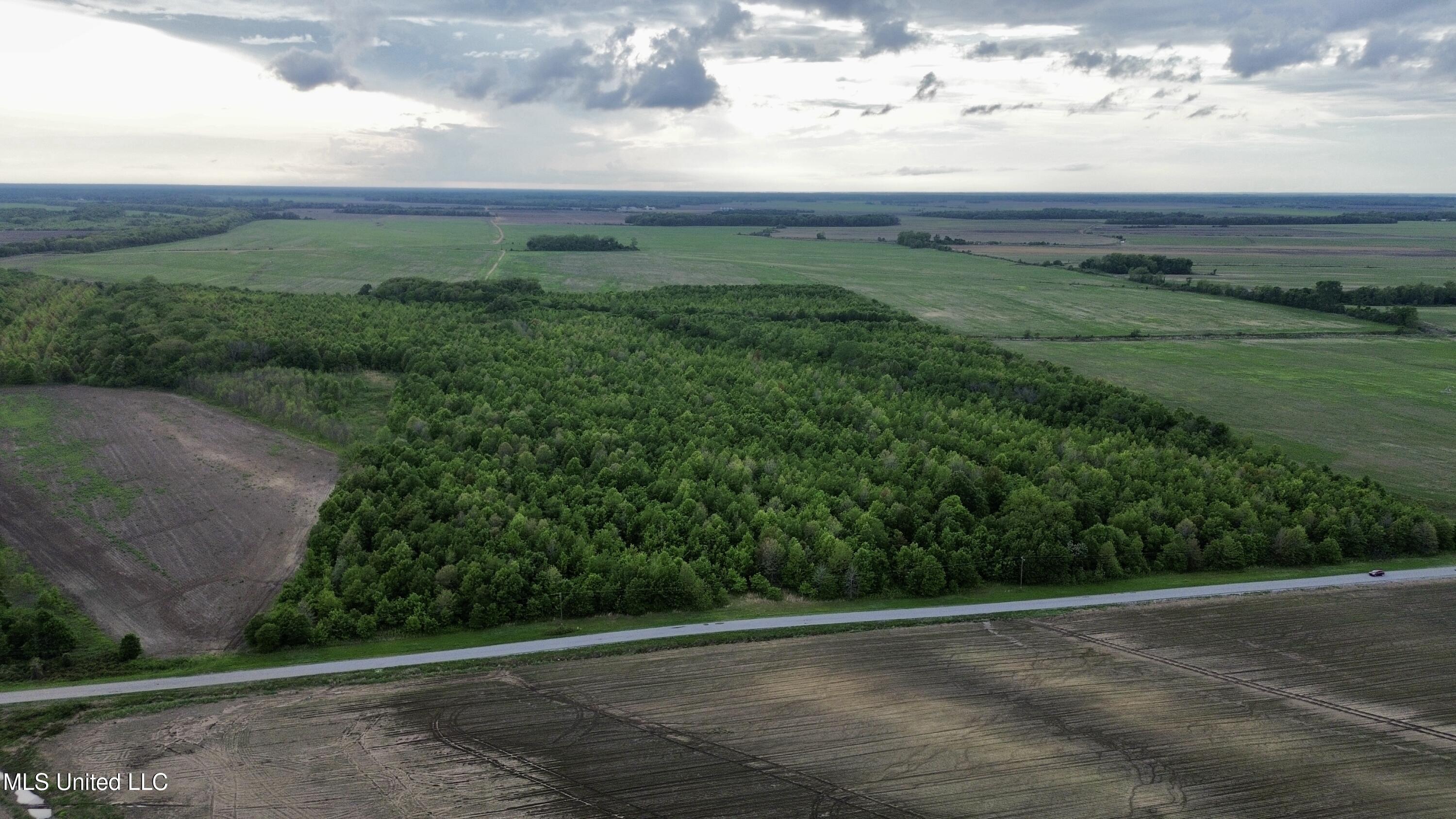 Bennett Road Clarksdale, MS 38614 - Photo 18 of 34 dji_fly_20250422_212806_253_174584100827