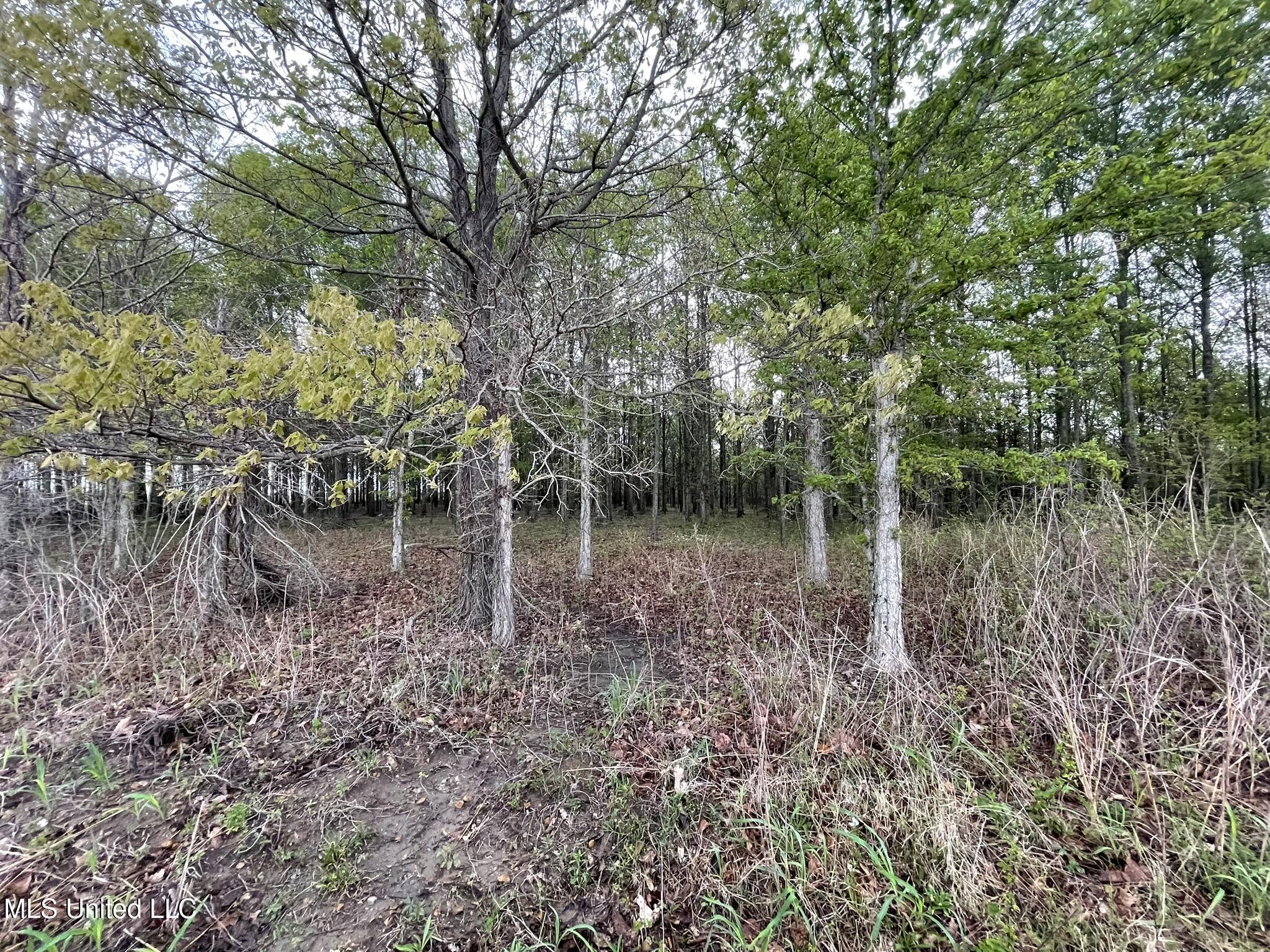 Bennett Road Clarksdale, MS 38614 - Photo 19 of 34 IMG_4635