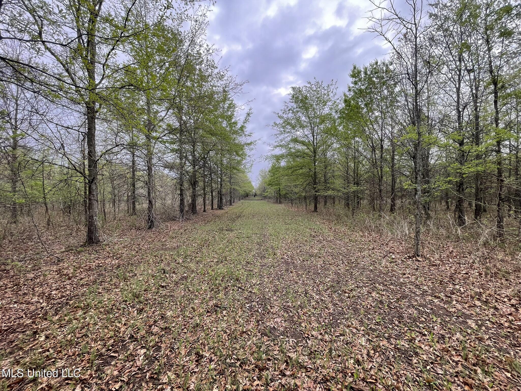 Bennett Road Clarksdale, MS 38614 - Photo 20 of 34 IMG_4640