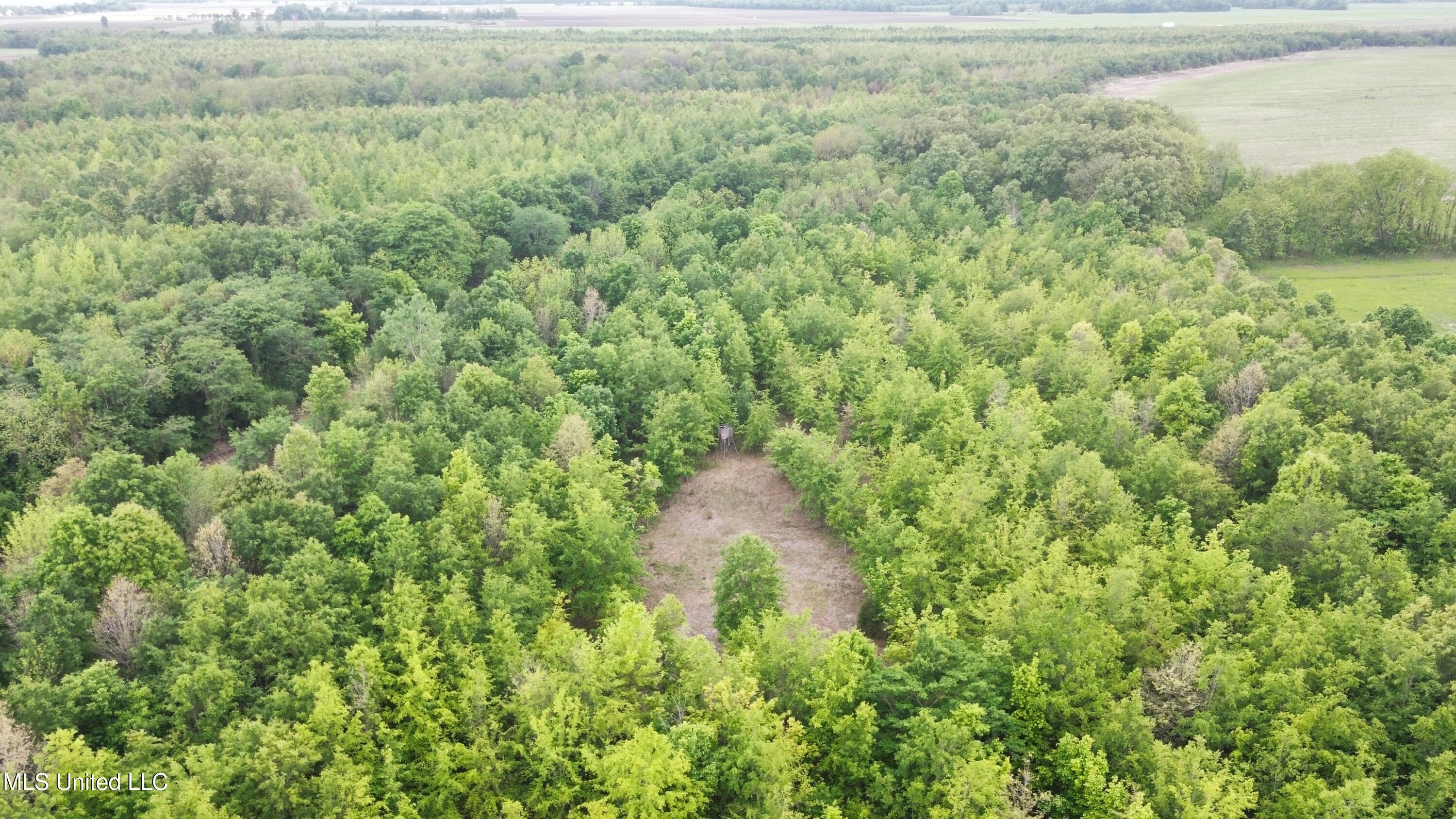 Bennett Road Clarksdale, MS 38614 - Photo 2 of 34 dji_fly_20250422_212102_241_174584101964
