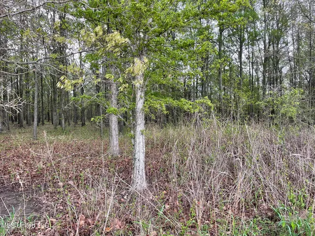 $449,450 | Bennett Road, Clarksdale, MS 38614