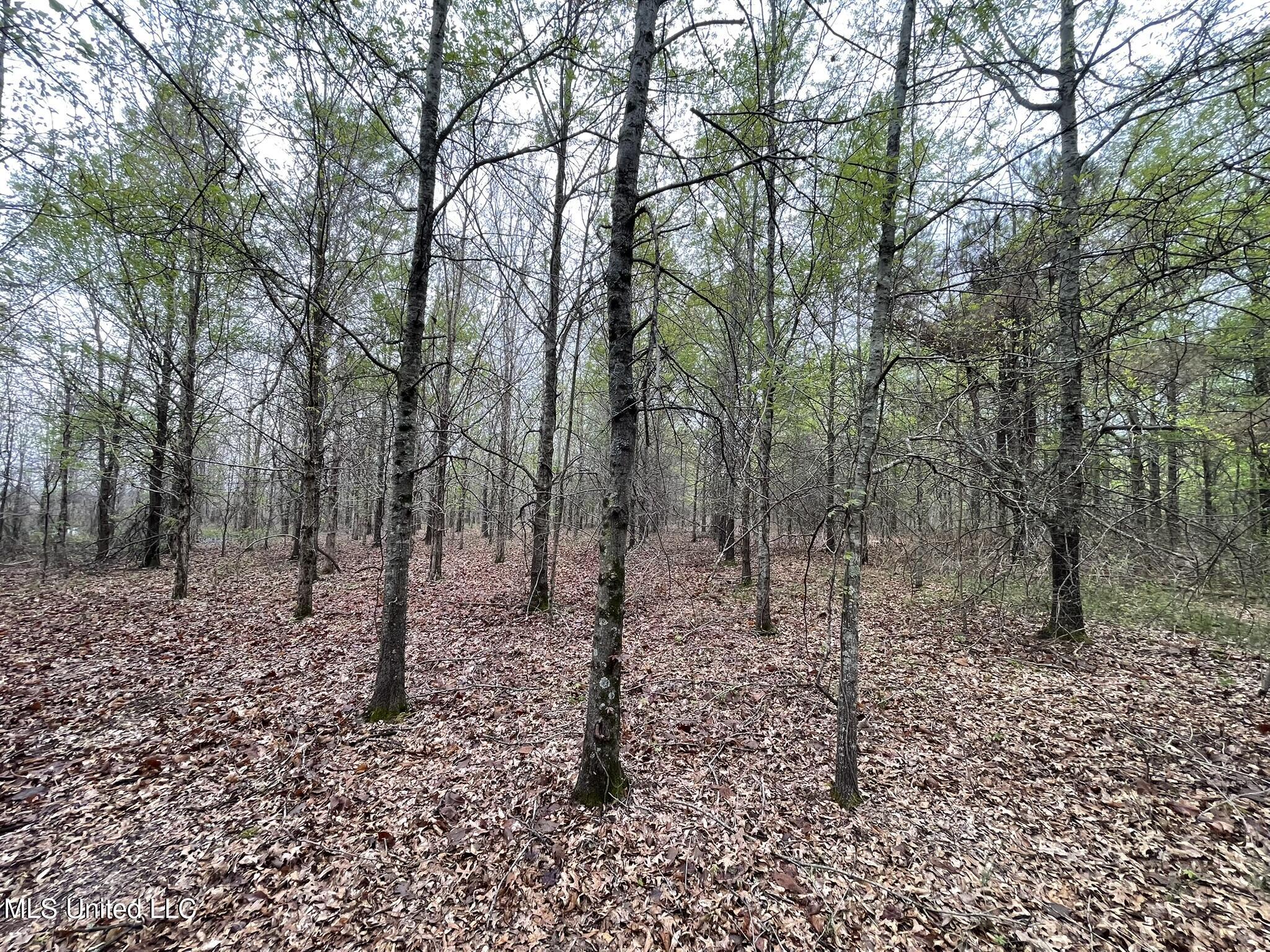 Bennett Road Clarksdale, MS 38614 - Photo 22 of 34 IMG_4638
