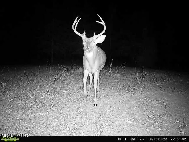 $449,450 | Bennett Road, Clarksdale, MS 38614