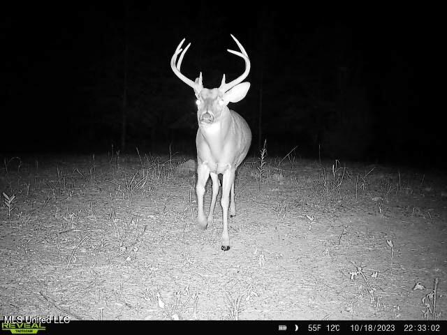 Bennett Road Clarksdale, MS 38614 - Photo 23 of 34 IMG_2641