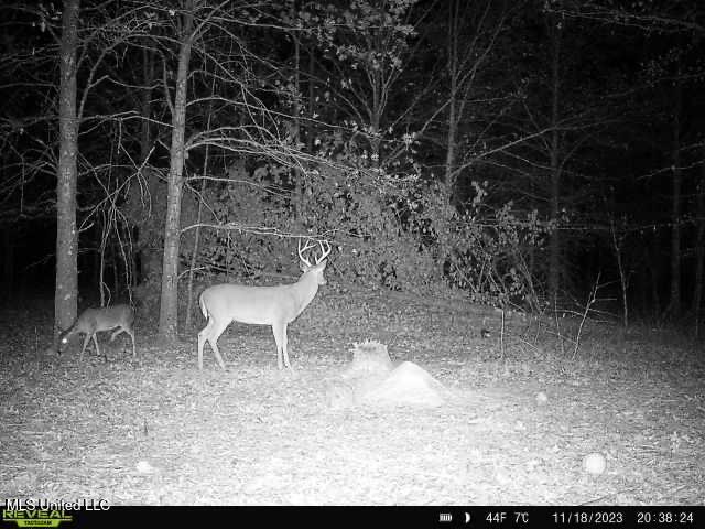 Bennett Road Clarksdale, MS 38614 - Photo 24 of 34 IMG_2882